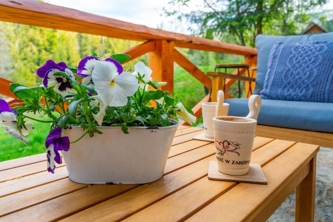 Apartament Lesny Закопане Экстерьер фото